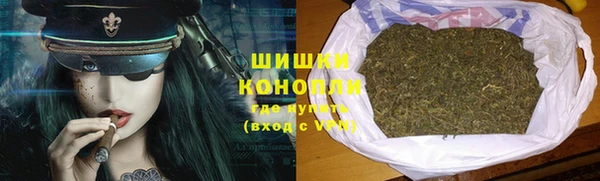 шишки Беломорск